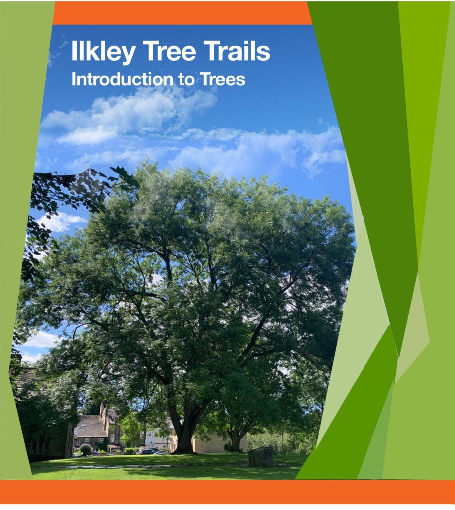 Ilkley Tree Trail Introduction