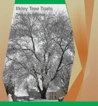 Ilkley Tree Trail Winter